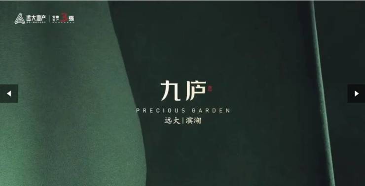 大九庐项目发布：掀起购房热潮pg电子免费模拟器聚焦合肥远