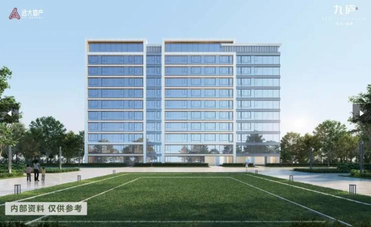 大九庐项目发布：掀起购房热潮pg电子免费模拟器聚焦合肥远(图4)