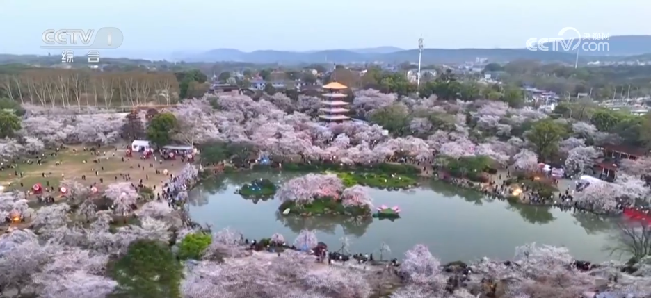 →“幸福产业” “花样”经济别样绽放pg电子模拟器免费试玩“美丽产业”(图6)